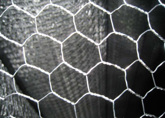 Πουλερικά ύφανσης που πιάνουν πλέγμα μετάλλων 1.4mm το Hexagon