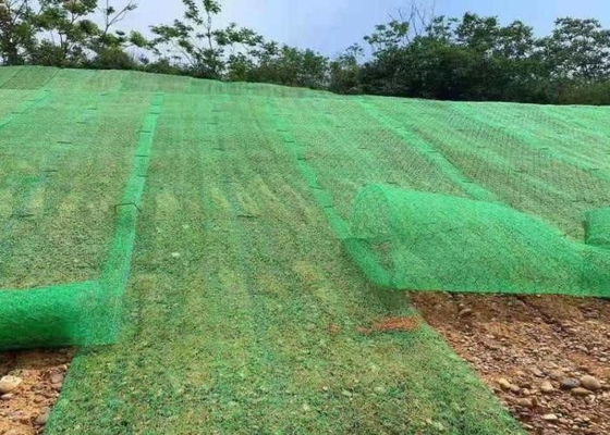 Πράσινο χρώματος ενισχυμένο 60x80 του Mike πλέγμα καλωδίων μαξιλαριών εξαγωνικό