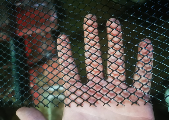 Μαύρο χρώματος αλιείας με δίχτυα τρύπα που εξωθείται πλέγμα 20mmx20mm πλαστικής